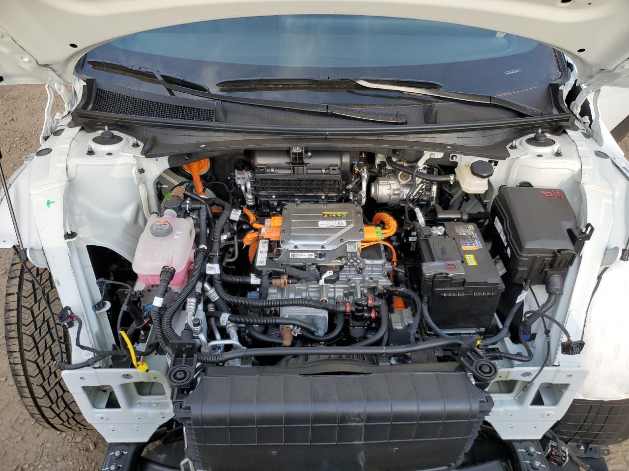 2025 Hyundai Ioniq 5 Xrt - zdjęcie 12