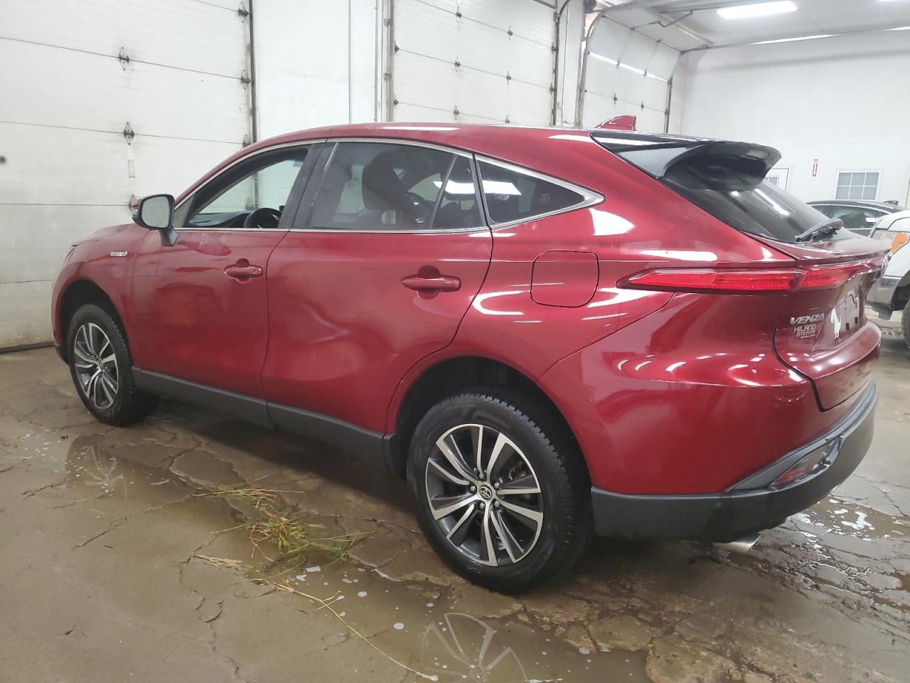 2021 Toyota Venza Le - zdjęcie 2