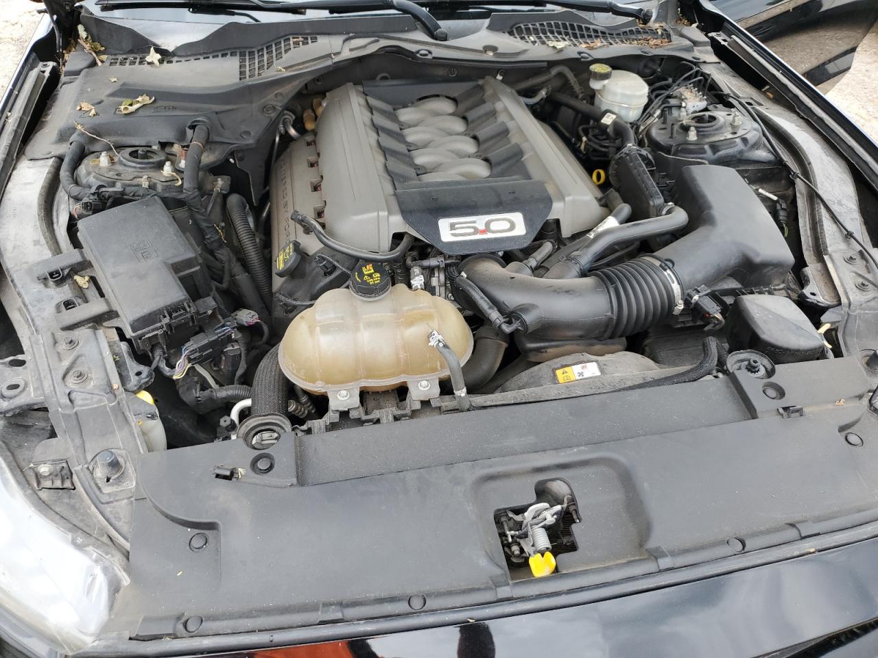 2015 Ford Mustang Gt - zdjęcie 11