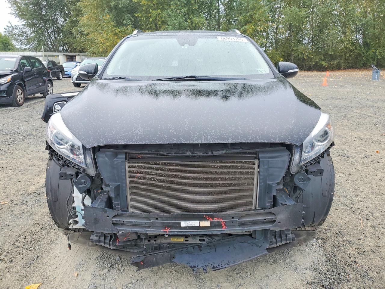 2017 Kia Sorento Ex - zdjęcie 5