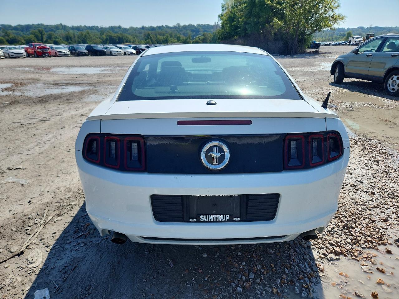 2014 Ford Mustang - zdjęcie 6