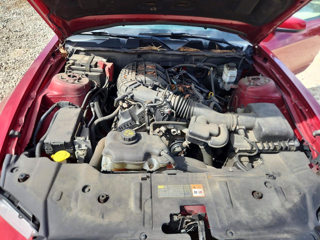 2014 Ford Mustang V6 Coupe - zdjęcie 11