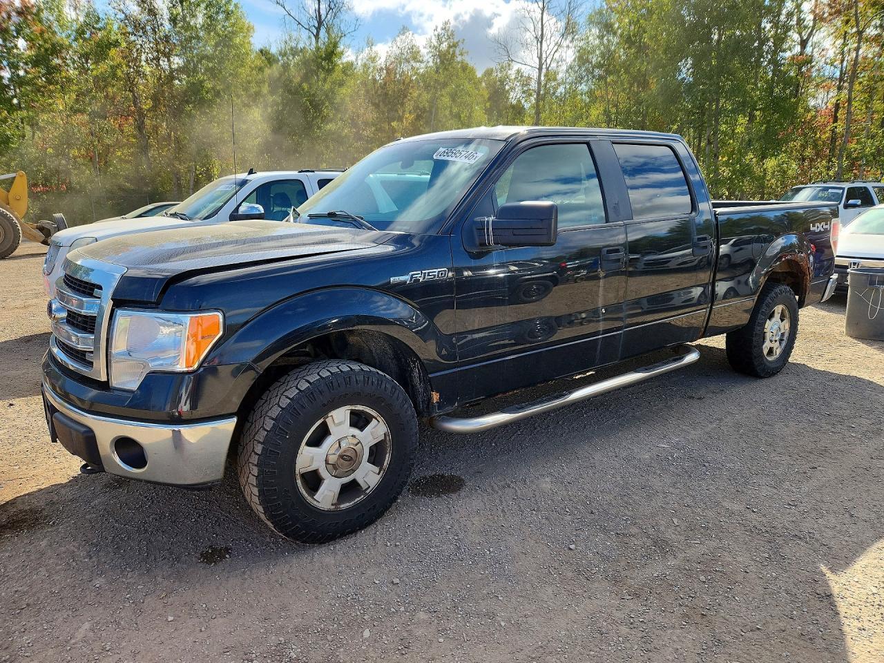 2014 Ford F150 Supercrew - zdjęcie główne