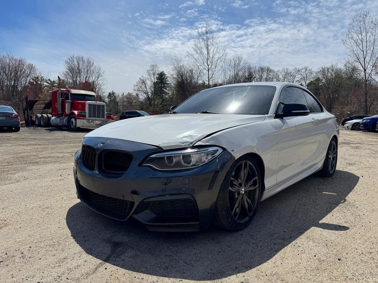 2016 BMW Seria 2 Coupe M235i - zdjęcie 2
