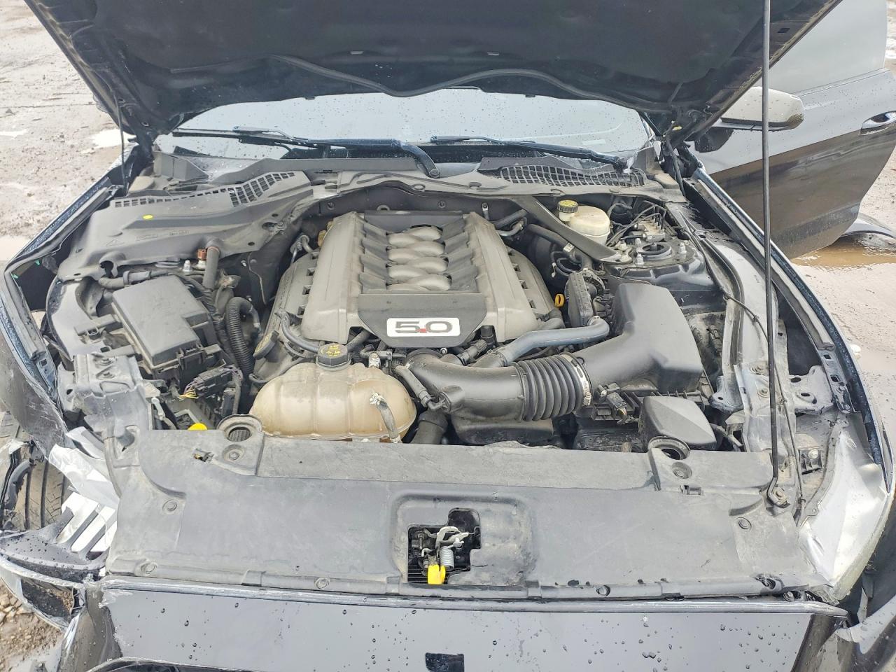 2016 Ford Mustang Gt - zdjęcie 11