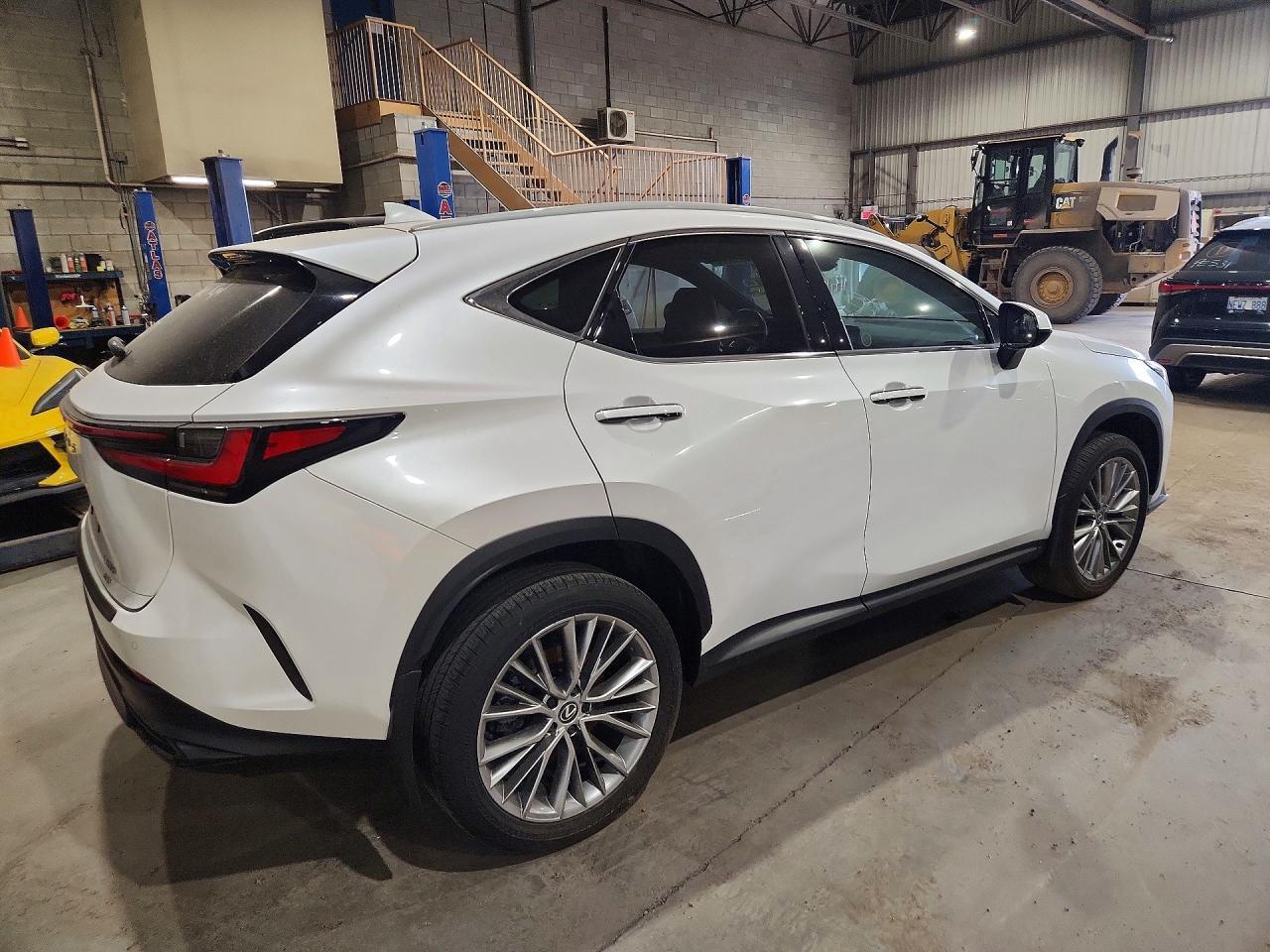 2024 Lexus Nx 350 Premium - zdjęcie 3