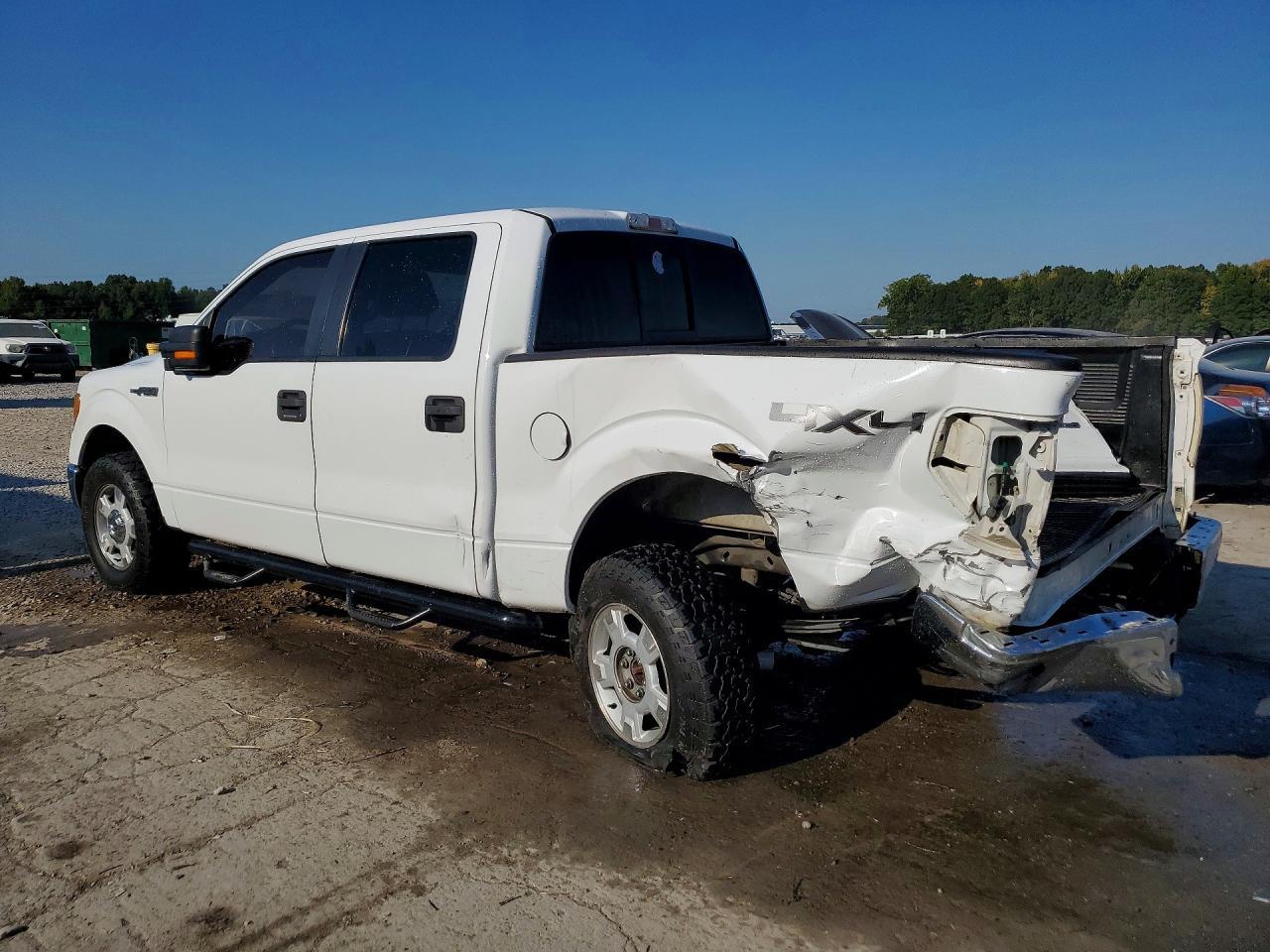 2014 Ford F150 Supercrew - zdjęcie 2