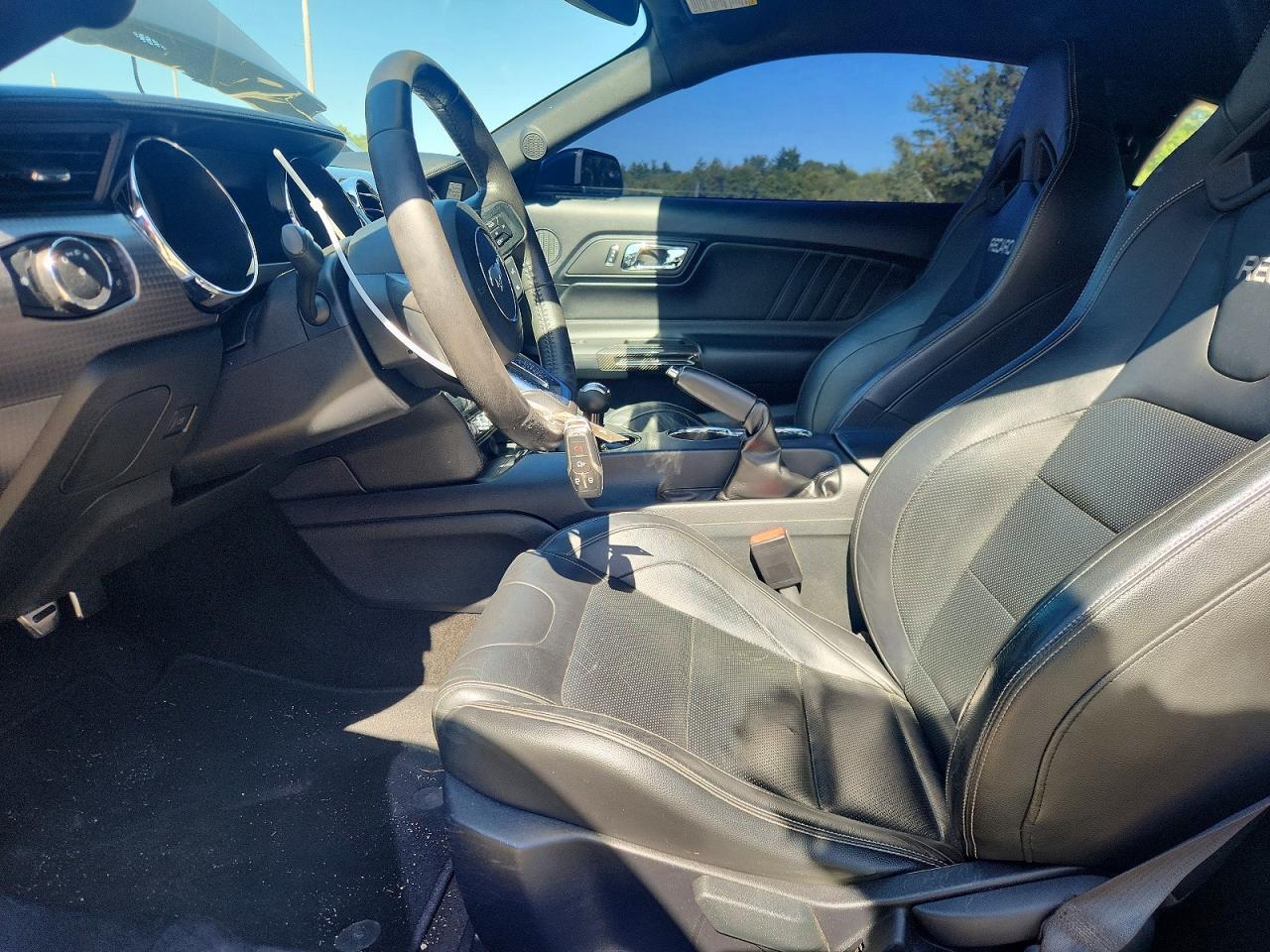 2015 Ford Mustang Gt - zdjęcie 7