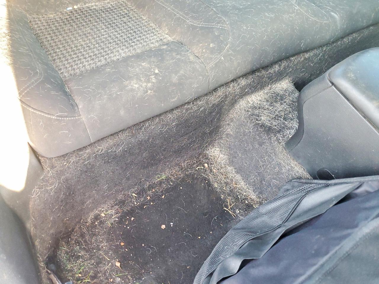 2015 Dodge Challenger Sxt - zdjęcie 10