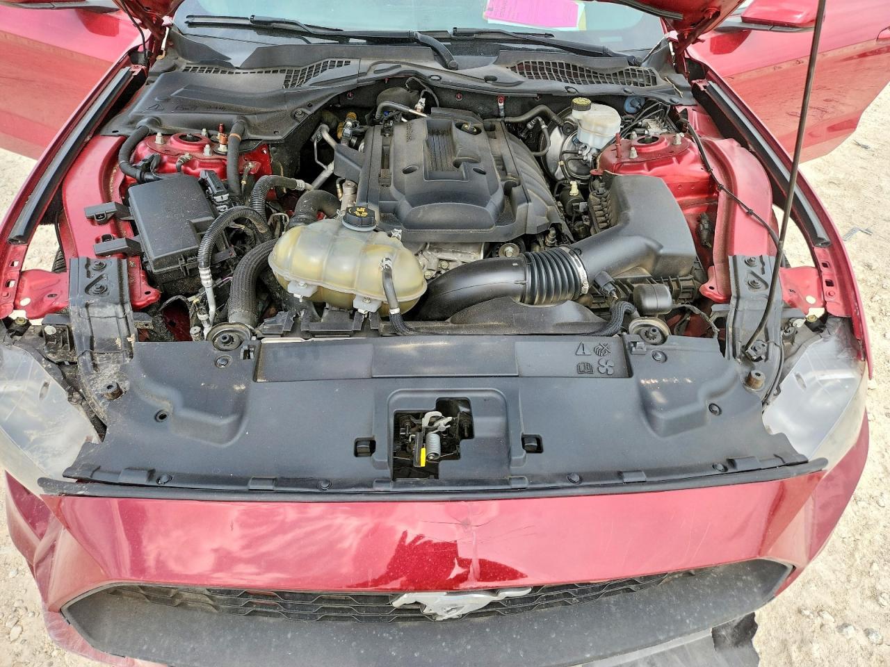 2019 Ford Mustang - zdjęcie 11
