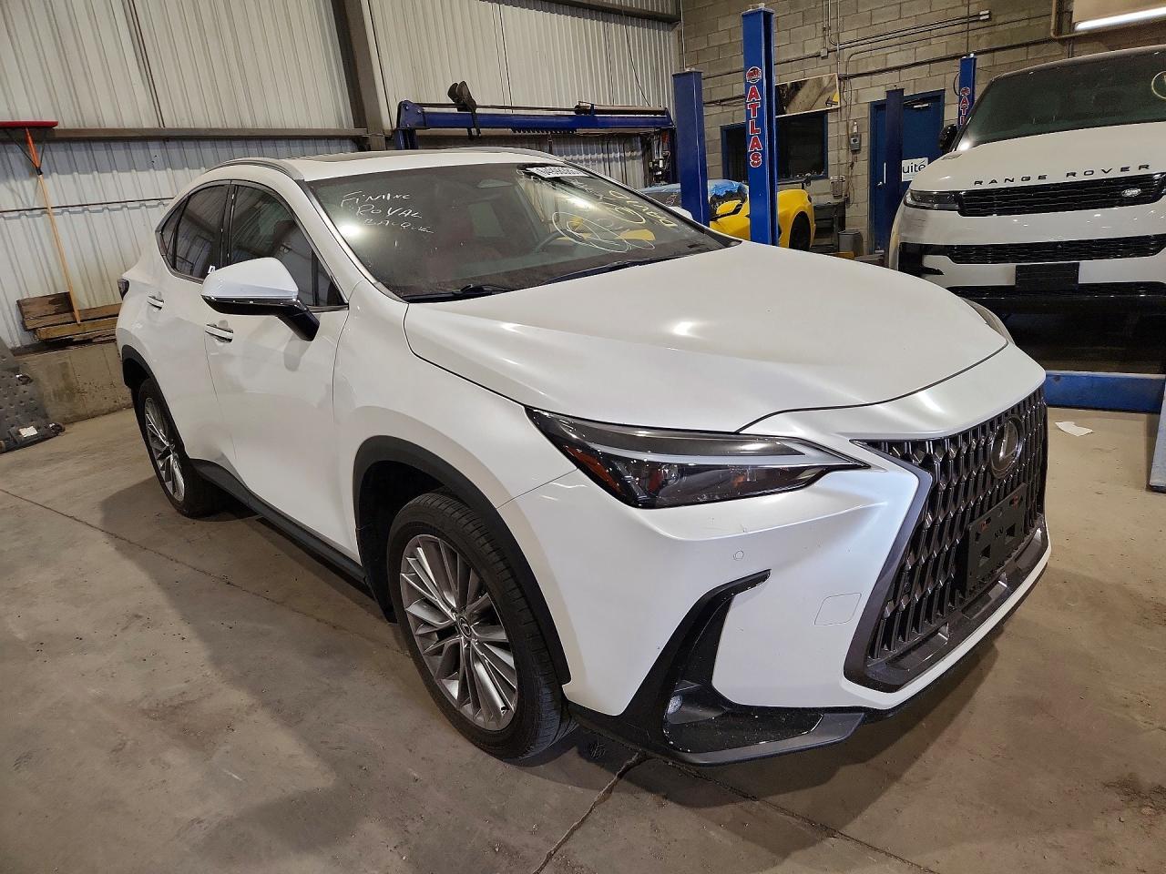 2024 Lexus Nx 350 Premium - zdjęcie 4