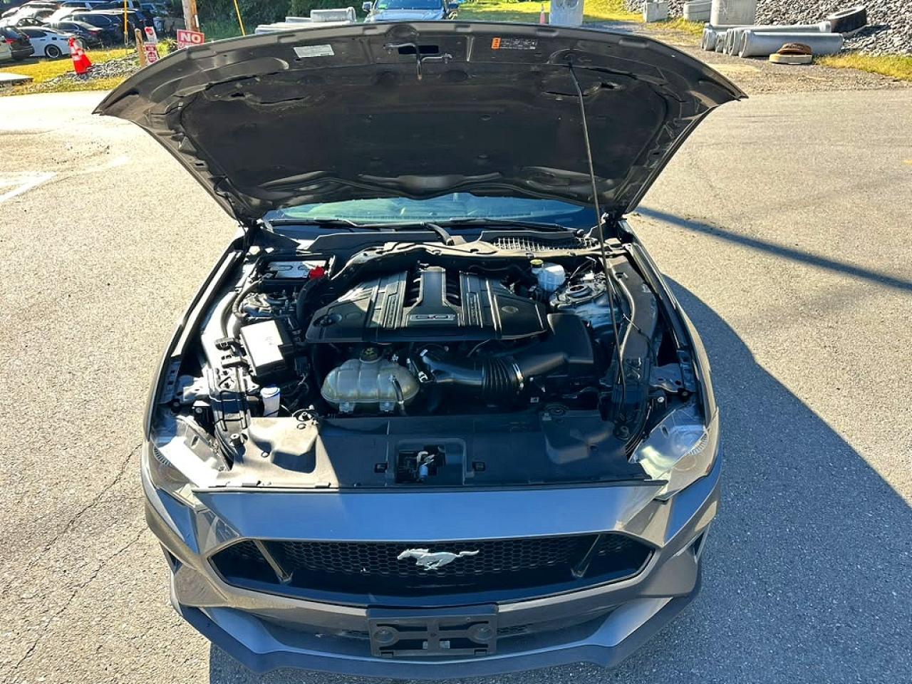 2023 Ford Mustang Gt - zdjęcie 6