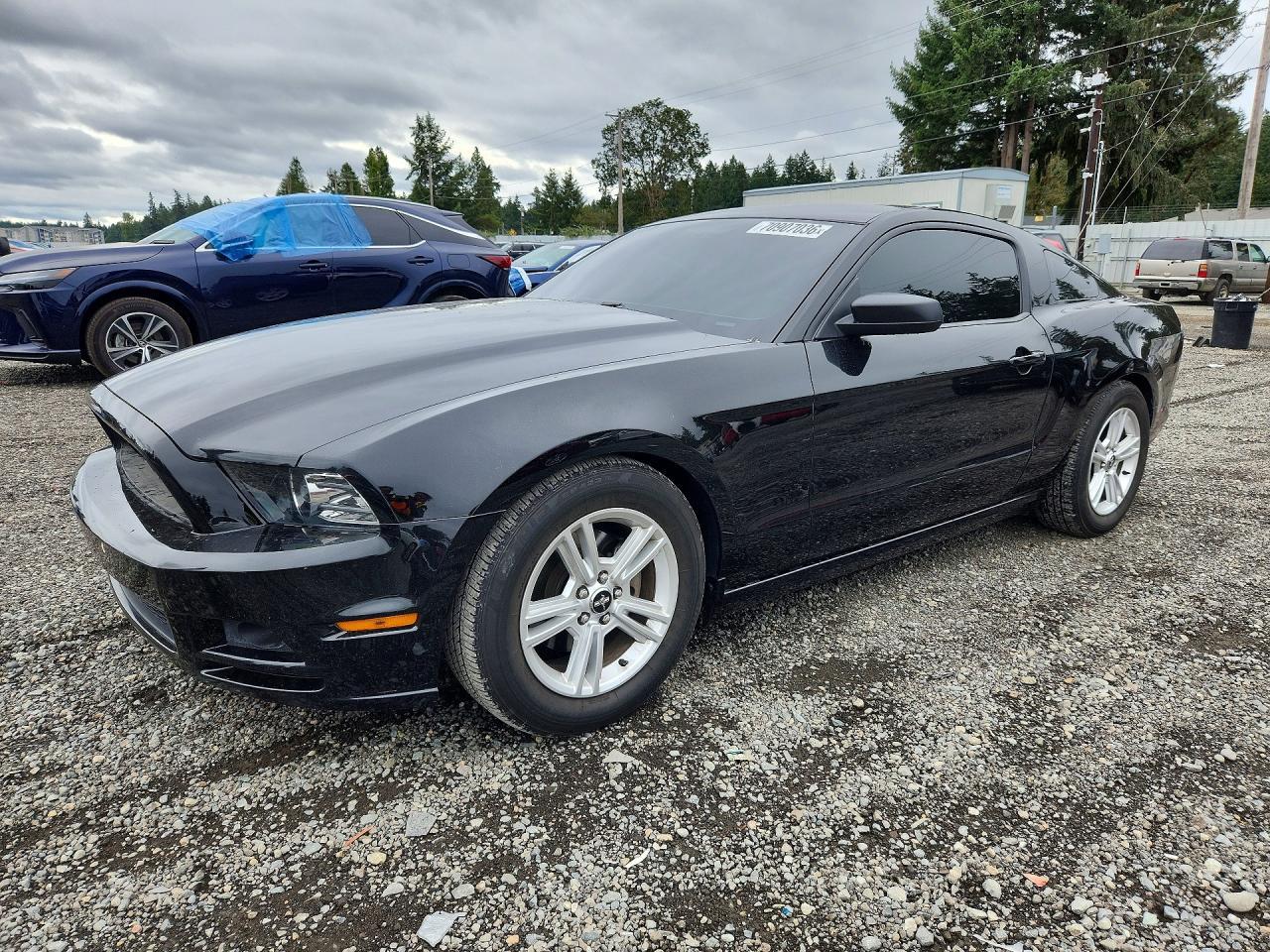 2014 Ford Mustang - zdjęcie główne