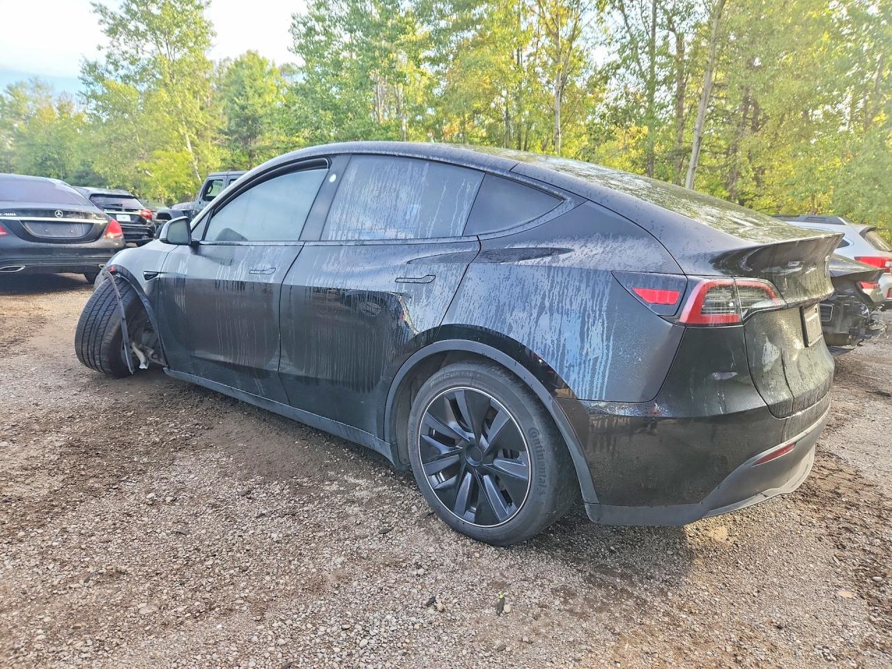 2024 Tesla Model Y - zdjęcie 2