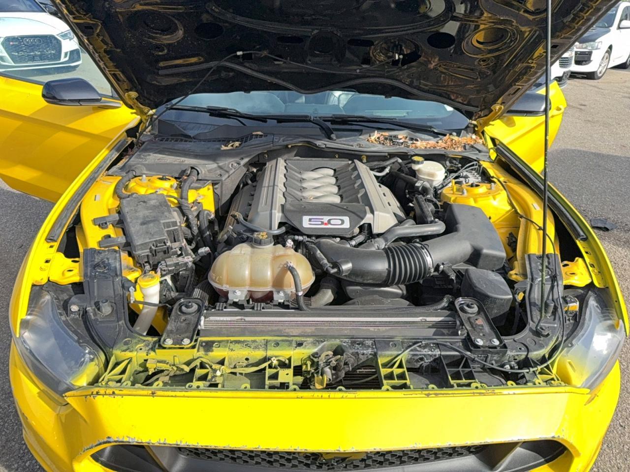 2015 Ford Mustang Gt - zdjęcie 7