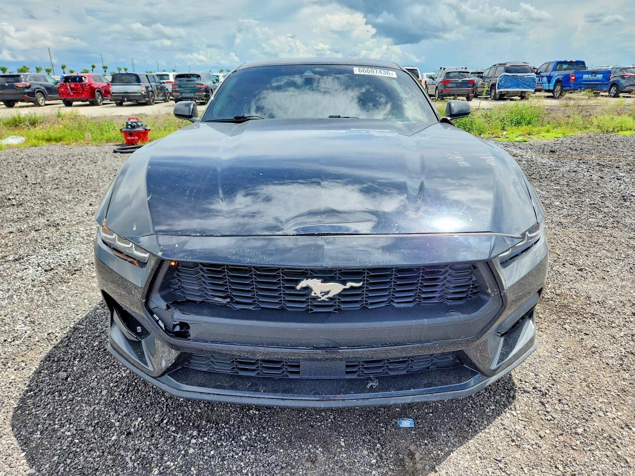 2024 Ford Mustang - zdjęcie 5