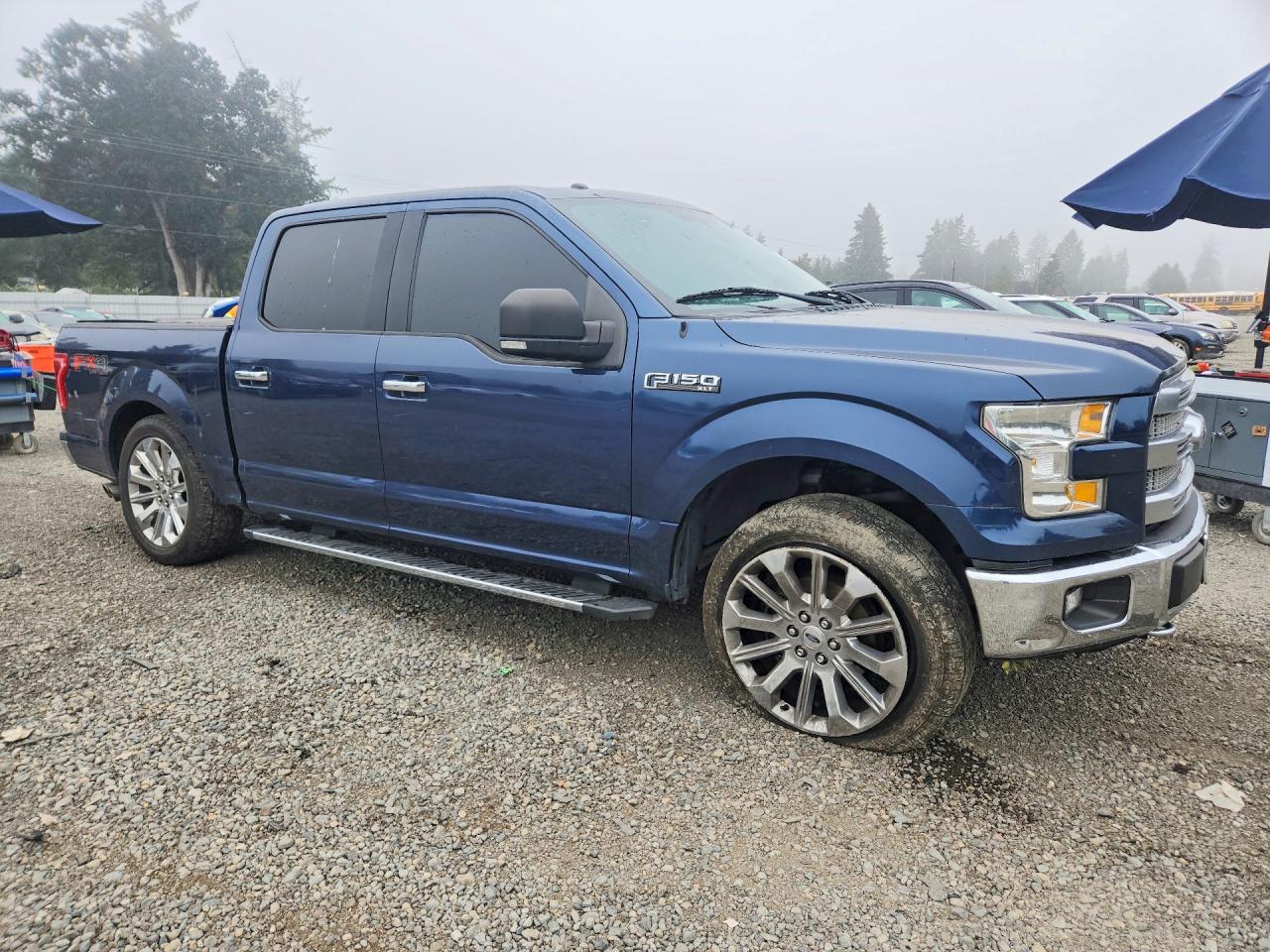 2015 Ford F150 Supercrew - zdjęcie 4