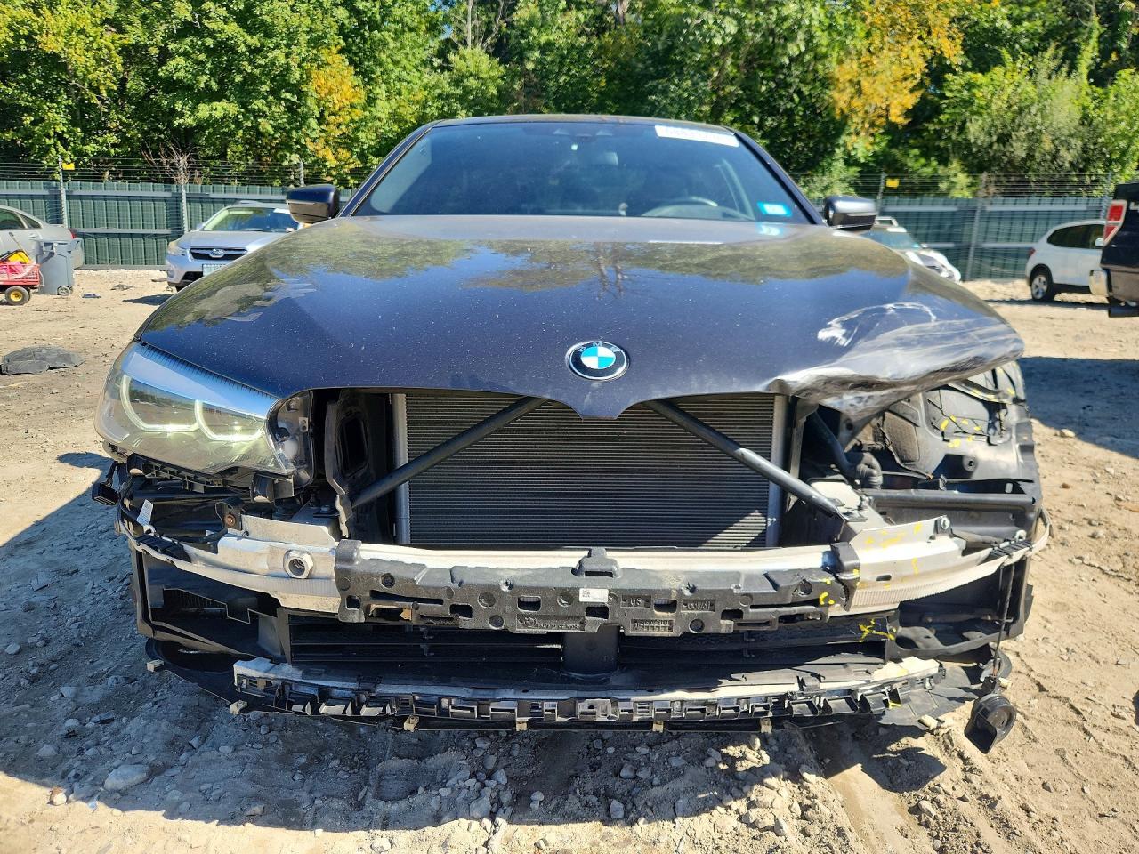 2018 BMW Seria 5 530i - zdjęcie 5
