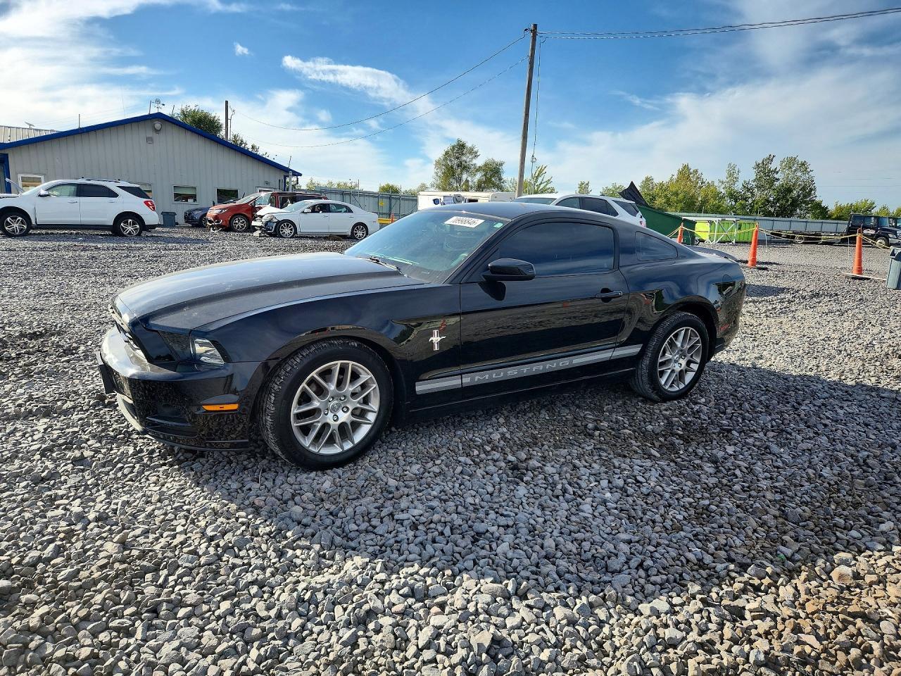 2014 Ford Mustang - zdjęcie główne