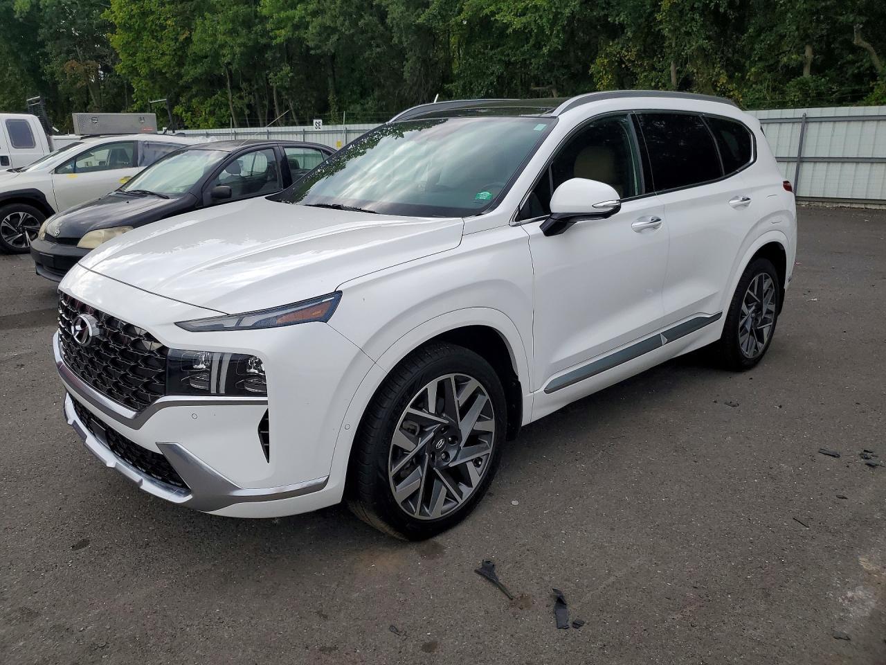 2023 Hyundai Santa Fe Calligraphy - zdjęcie główne