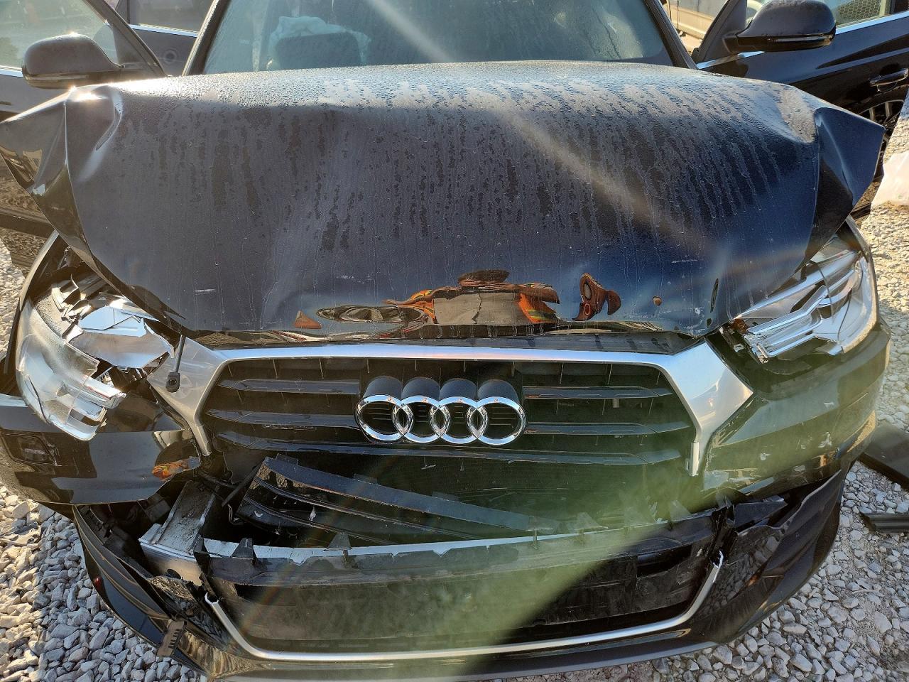 2016 Audi Q3 Premium Plus - zdjęcie 12