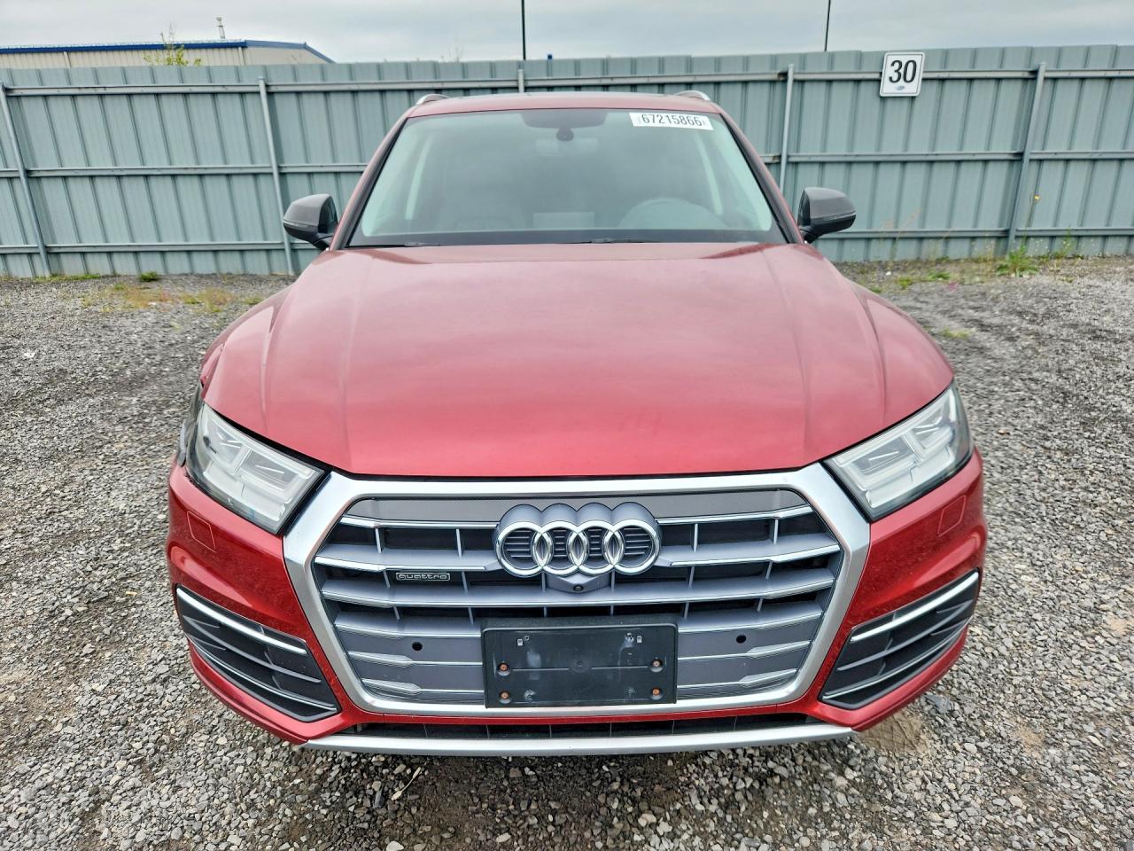 2019 Audi Q5 Prestige - zdjęcie 5
