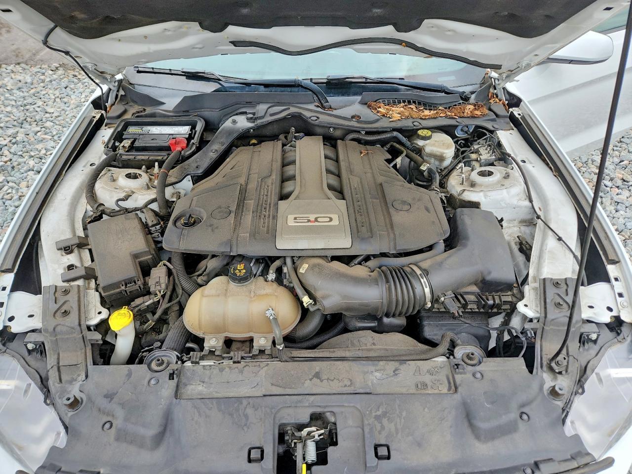 2019 Ford Mustang Gt - zdjęcie 11