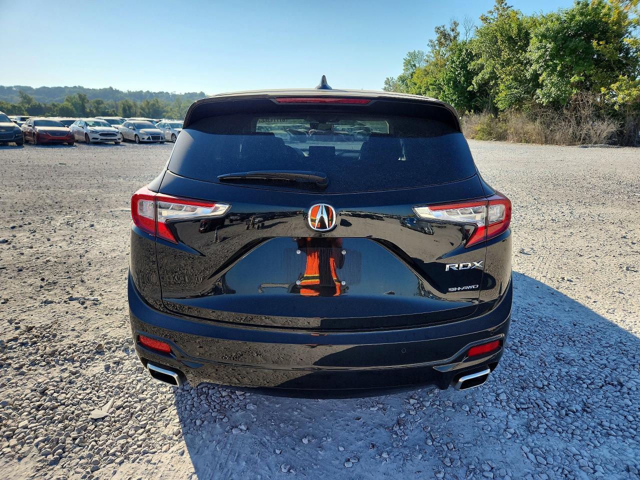 2025 Acura Rdx Advance - zdjęcie 6