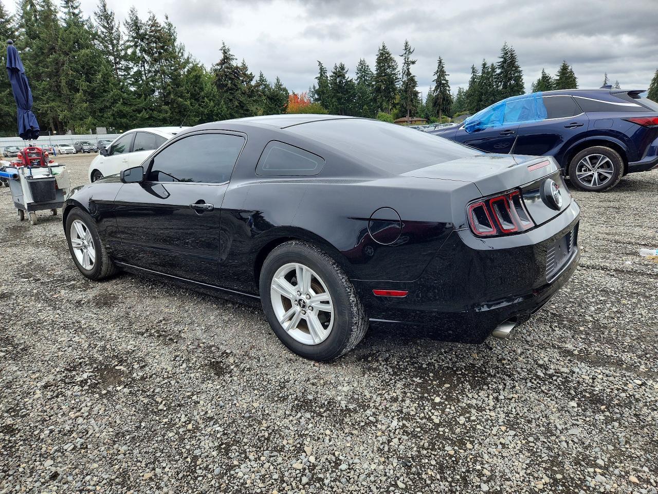 2014 Ford Mustang - zdjęcie 2