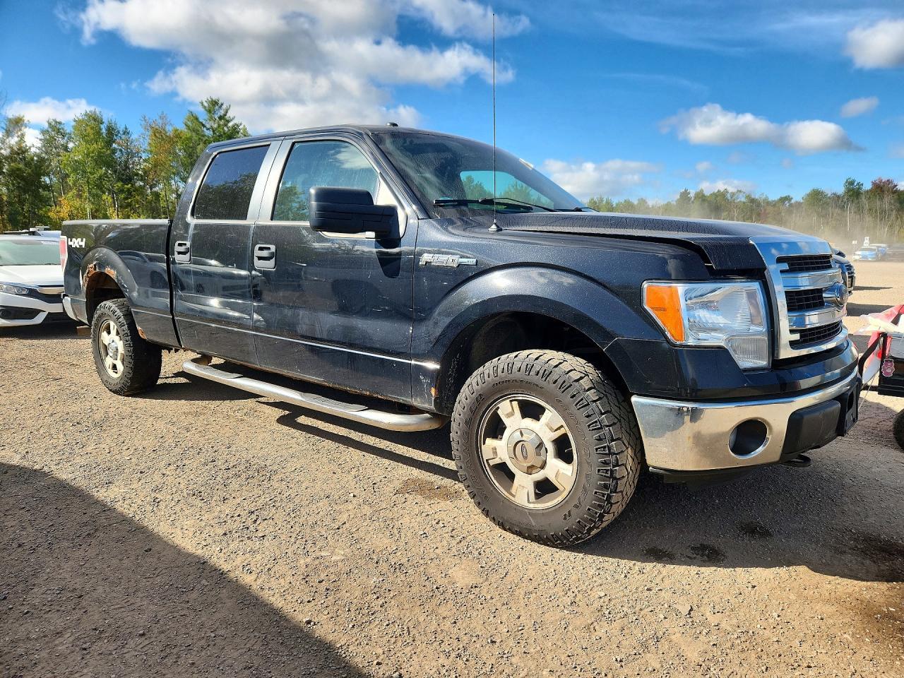 2014 Ford F150 Supercrew - zdjęcie 4