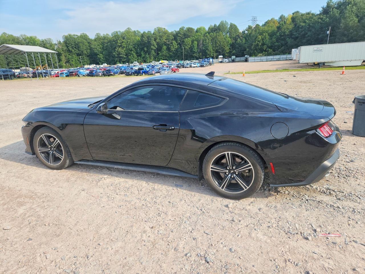 2024 Ford Mustang - zdjęcie 2