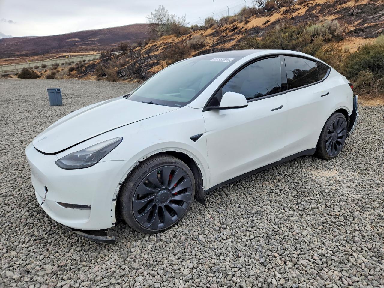 2023 Tesla Model Y - zdjęcie główne