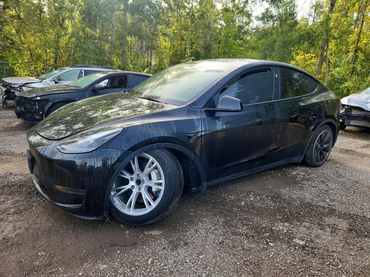 2024 Tesla Model Y - zdjęcie główne