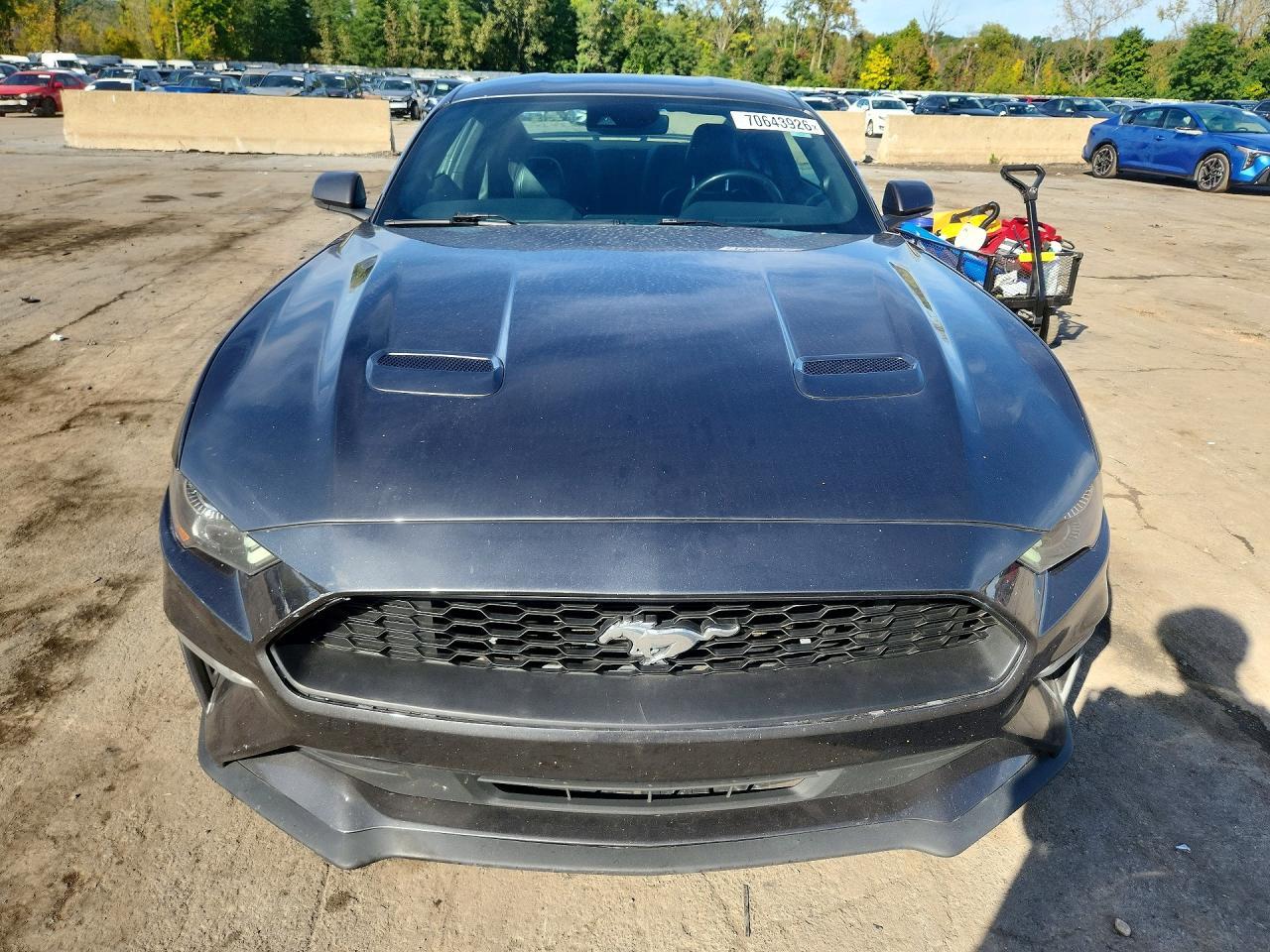 2019 Ford Mustang - zdjęcie 5