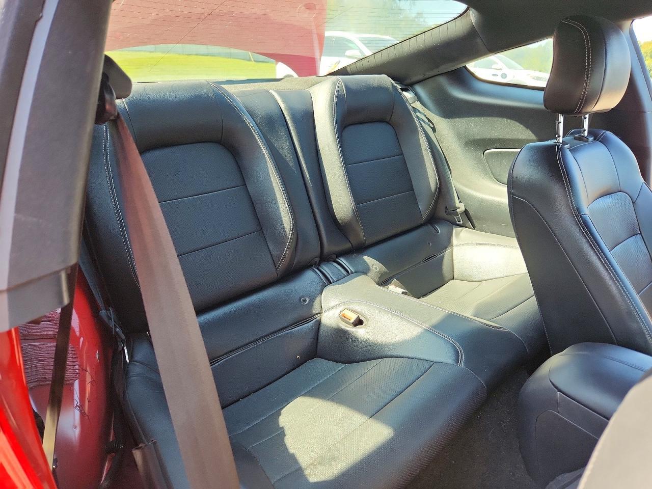 2019 Ford Mustang Gt - zdjęcie 10