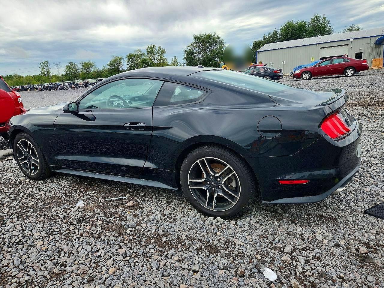 2019 Ford Mustang - zdjęcie 2