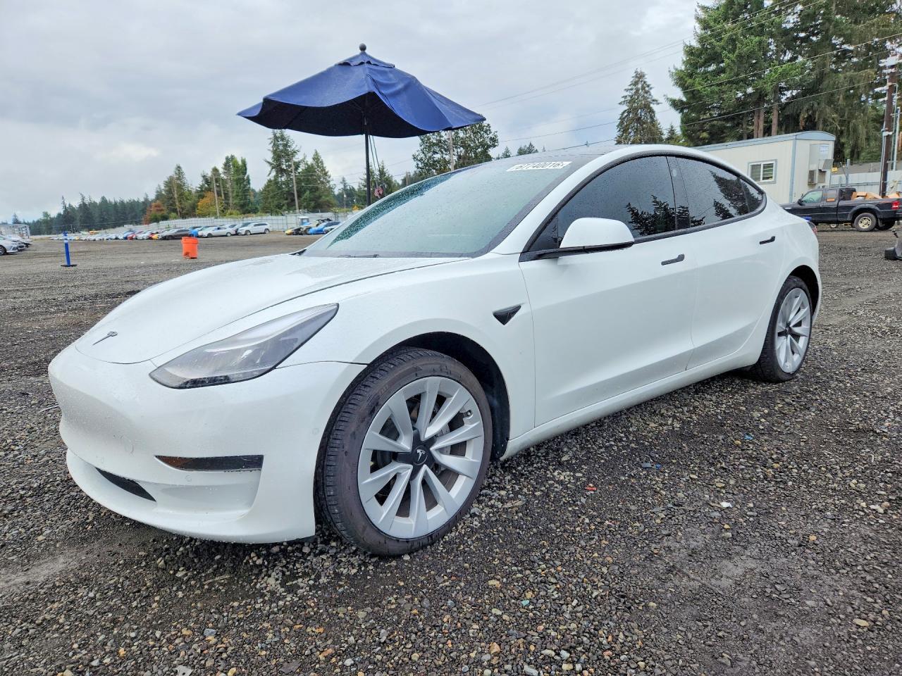 2021 Tesla Model 3 - zdjęcie główne
