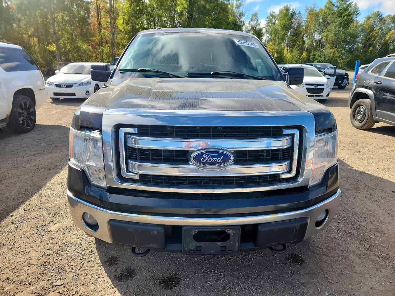 2014 Ford F150 Supercrew - zdjęcie 5