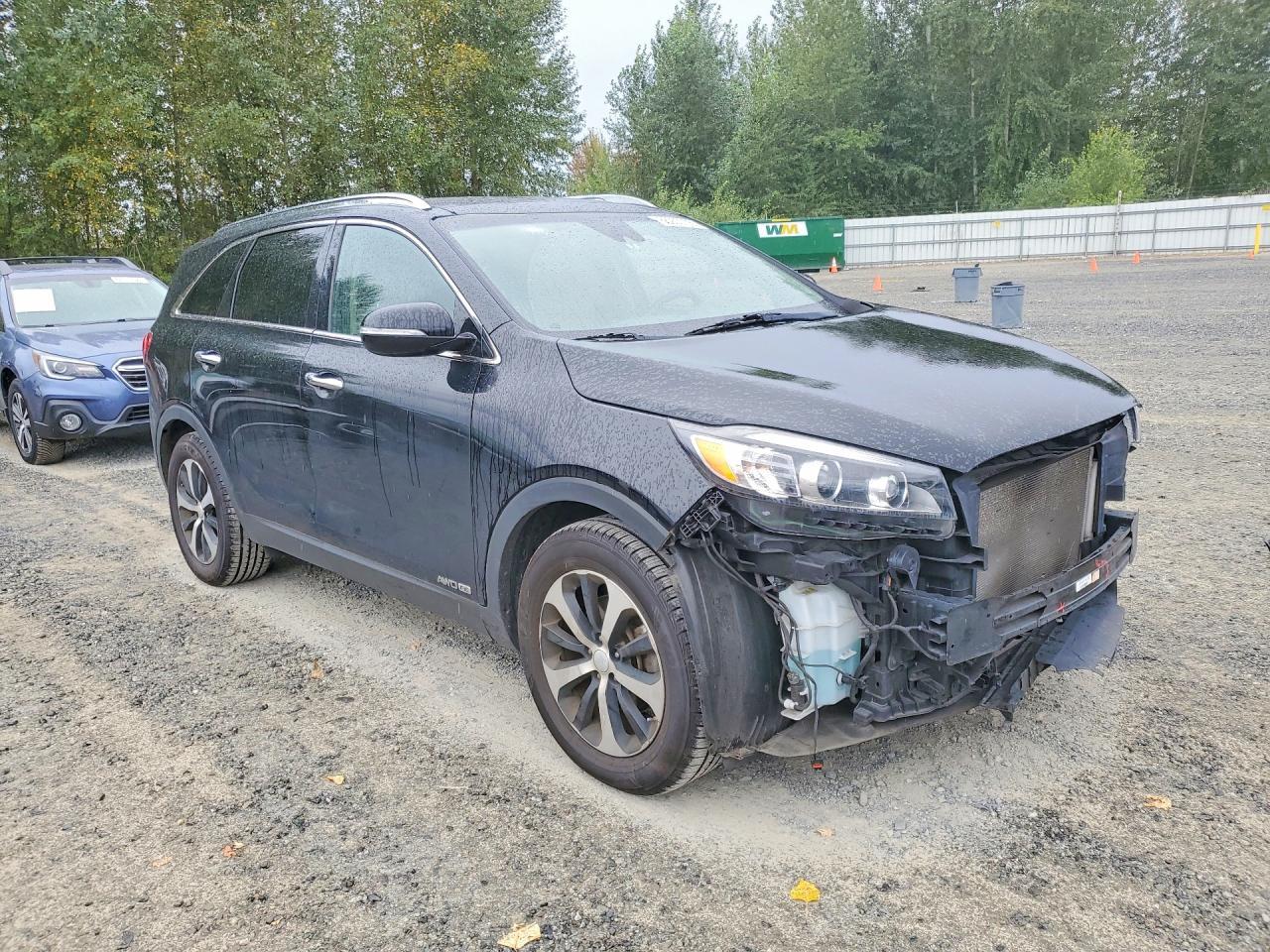 2017 Kia Sorento Ex - zdjęcie 4