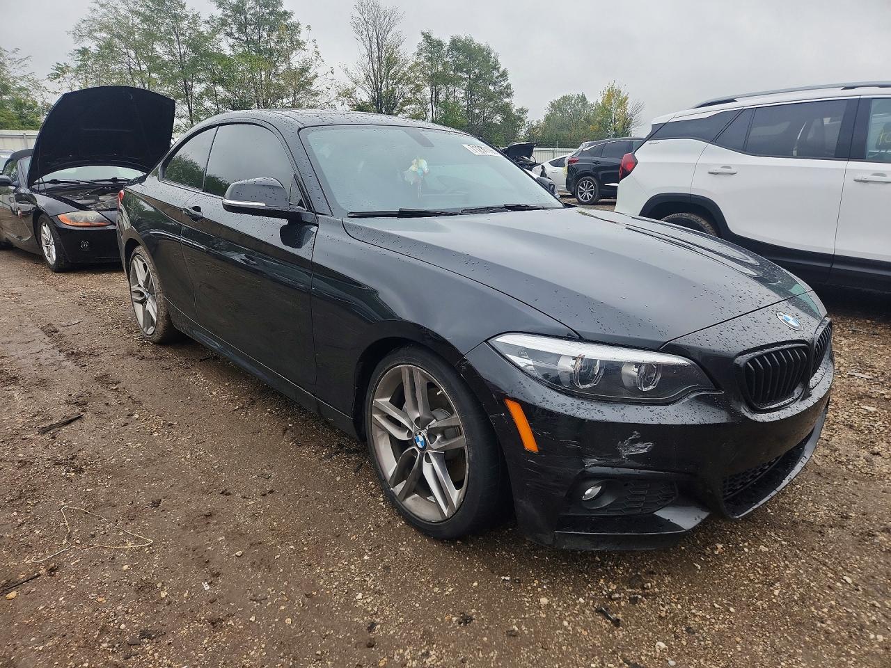 2018 BMW Seria 2 Coupe 230i - zdjęcie 4