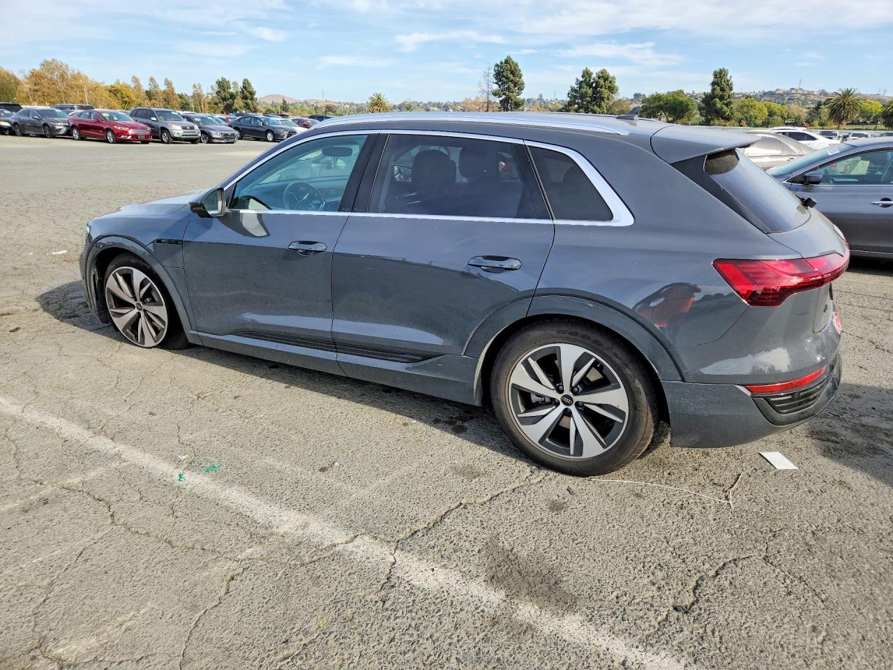 2024 Audi Q8 E-Tron Premium Plus - zdjęcie 2