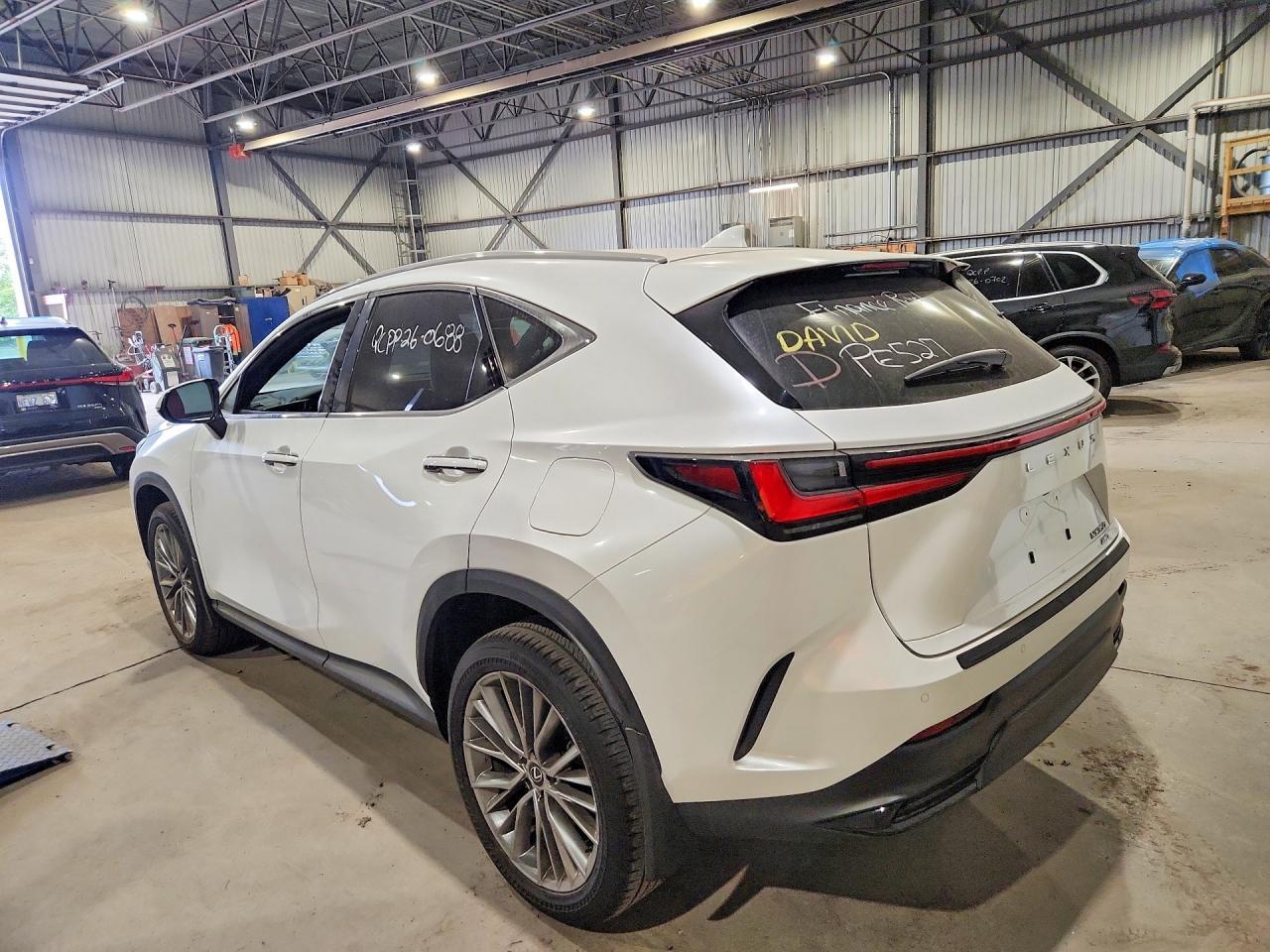 2024 Lexus Nx 350 Premium - zdjęcie 2