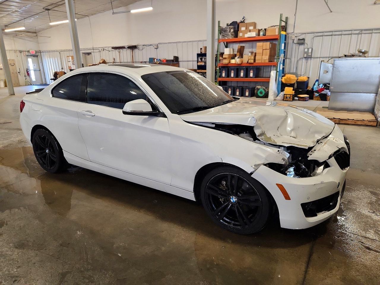2016 BMW 228 I Sulev - zdjęcie 4