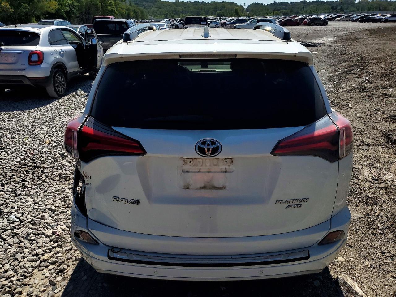 2017 Toyota Rav4 Platinum - zdjęcie 6