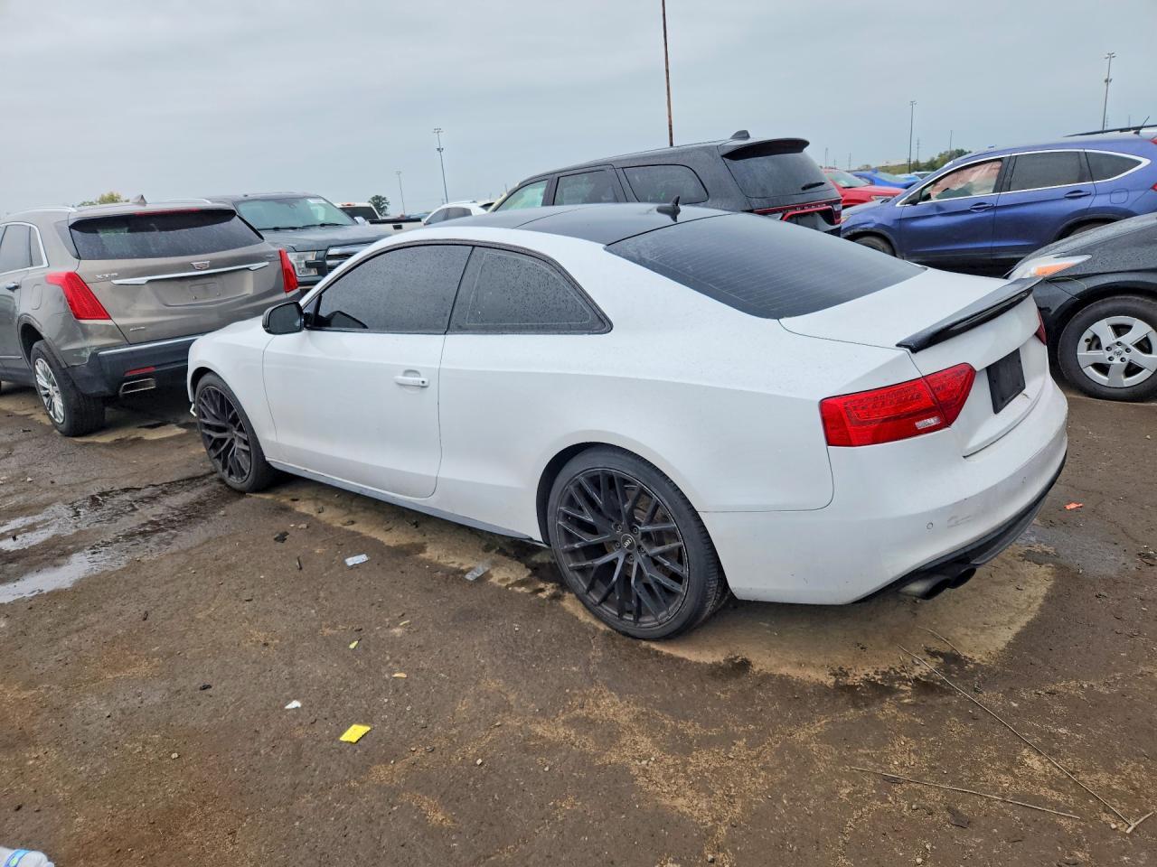 2017 Audi S5 - zdjęcie 2