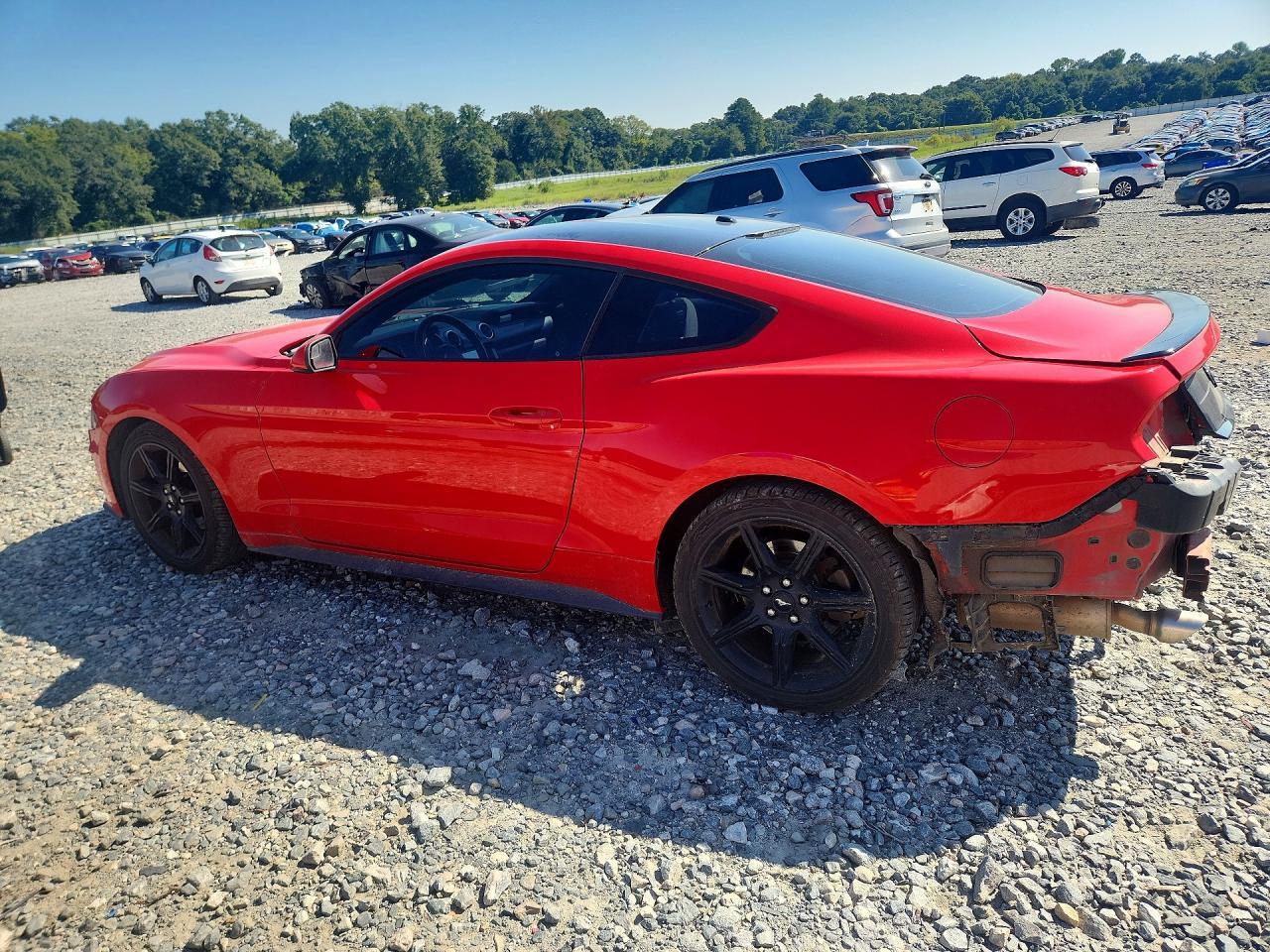 2019 Ford Mustang - zdjęcie 2