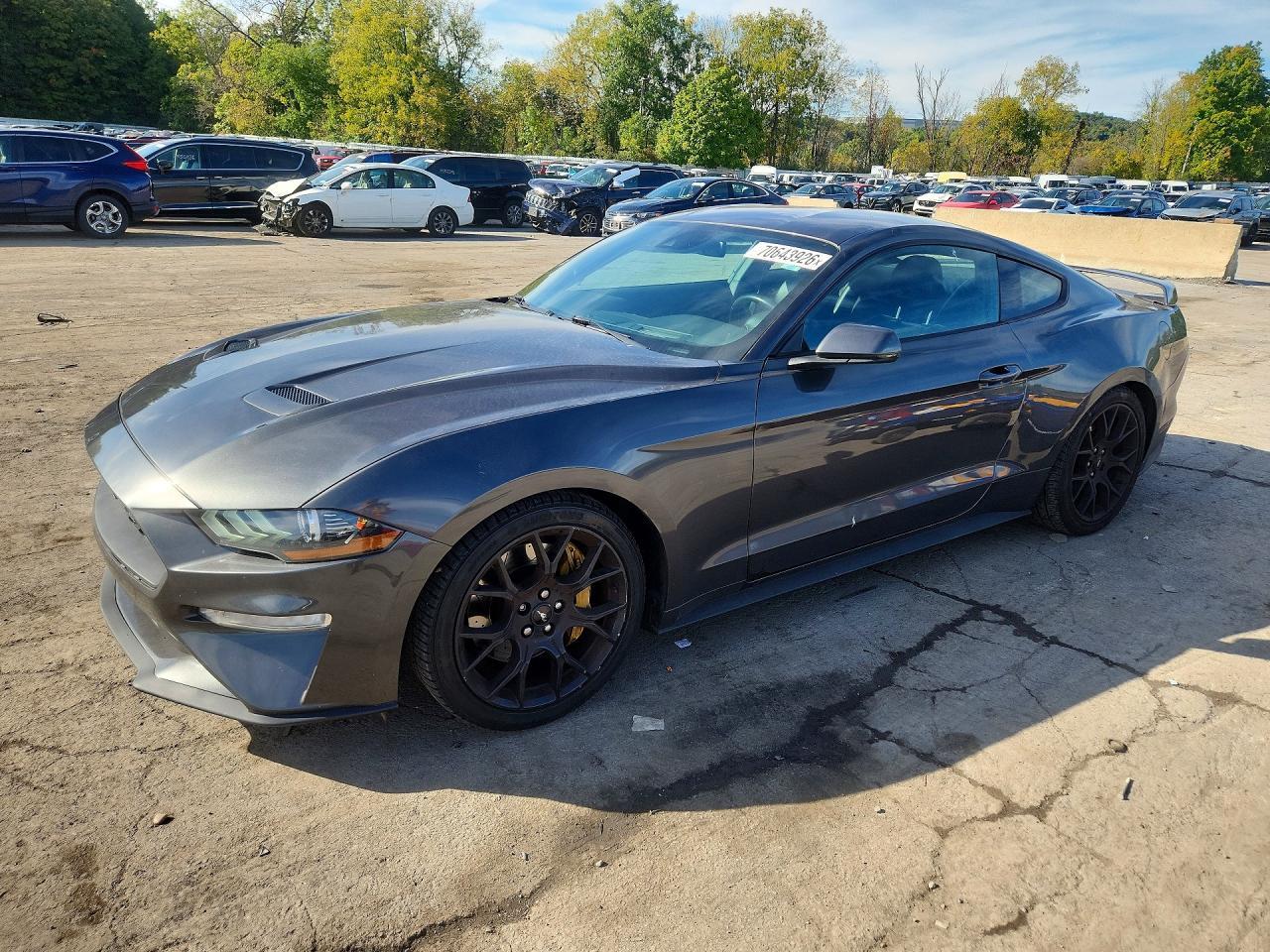 2019 Ford Mustang - zdjęcie główne