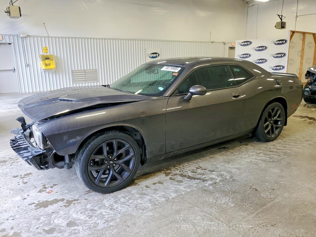 2019 Dodge Challenger Sxt - zdjęcie główne