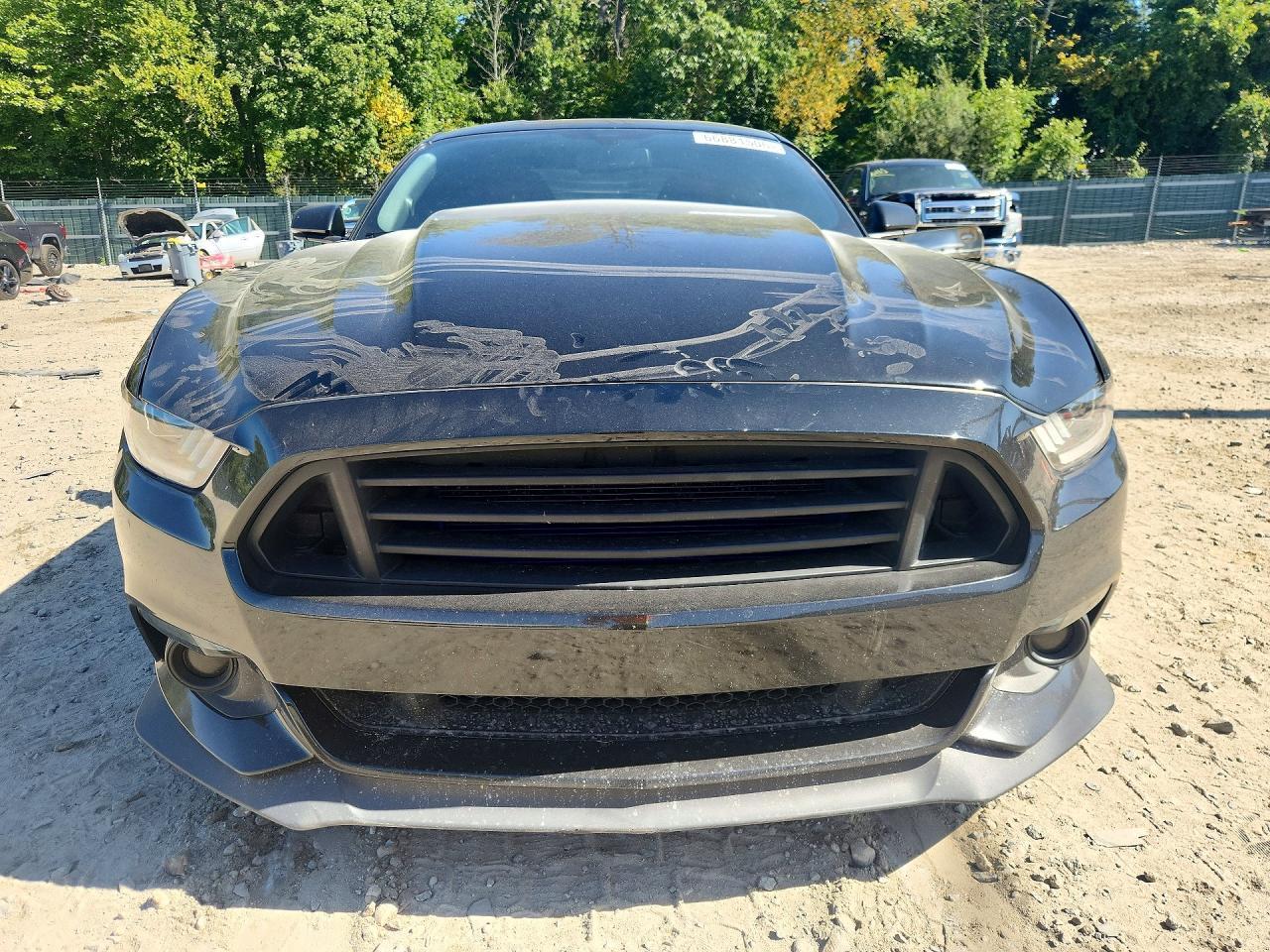 2015 Ford Mustang Gt - zdjęcie 5
