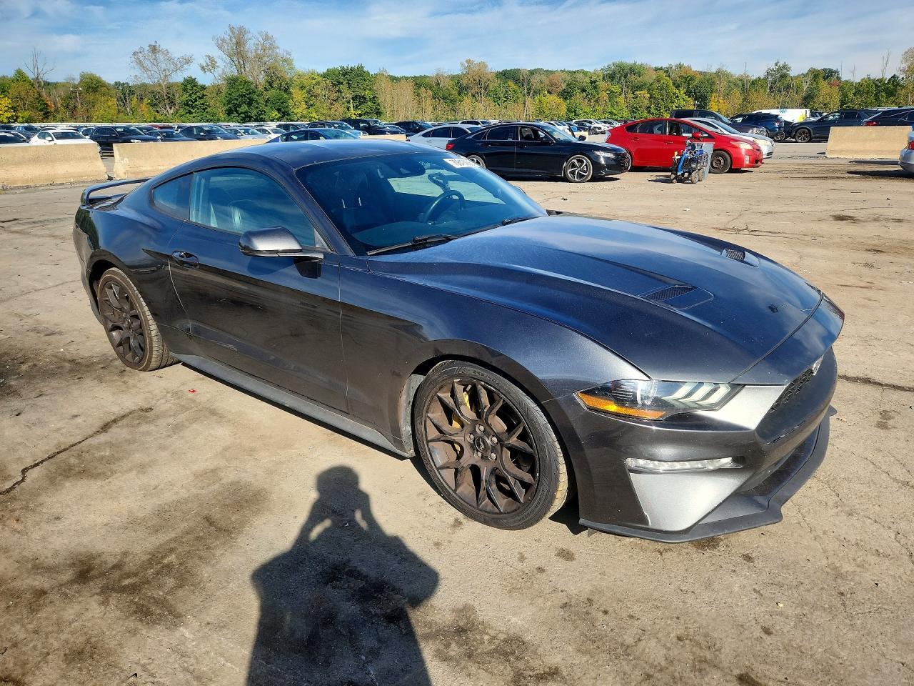 2019 Ford Mustang - zdjęcie 4